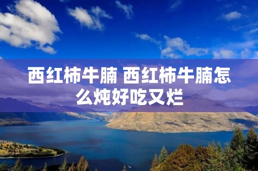 西红柿牛腩 西红柿牛腩怎么炖好吃又烂