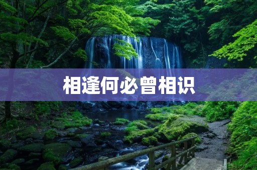 相逢何必曾相识:缘起于偶然,相遇于命运的安排