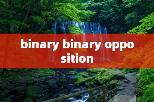 binary binary opposition