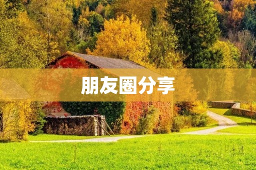 朋友圈分享:如何同时发布图片和视频?