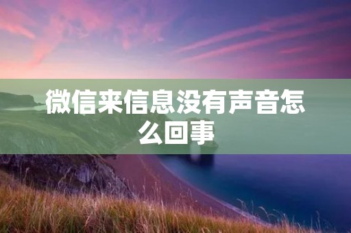 微信来信息没有声音怎么回事:解决方法一览