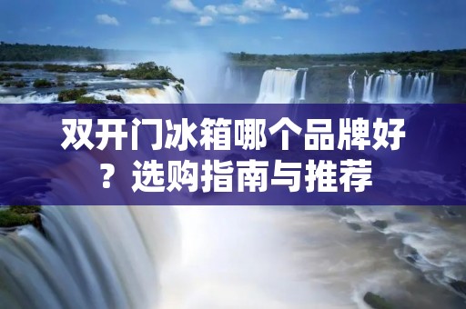 **门冰箱哪个品牌好?选购指南与推荐 **门冰箱哪个品牌好?选购指南与推荐
