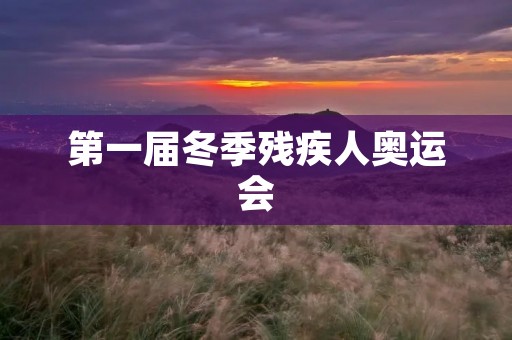 第一届冬季残疾人奥运会：为残疾人壮大奥林匹克梦想的里程碑