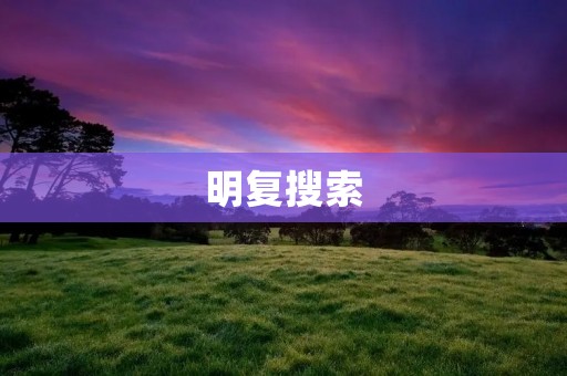 明复搜索:开启信息智能化时代的探索