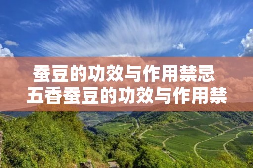 蚕豆的功效与作用禁忌 五香蚕豆的功效与作用禁忌