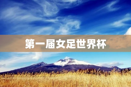 第一届女足世界杯：铸就女子足球的里程碑