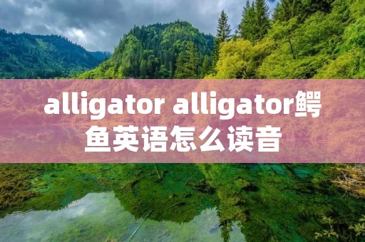 alligator alligator鳄鱼英语怎么读音