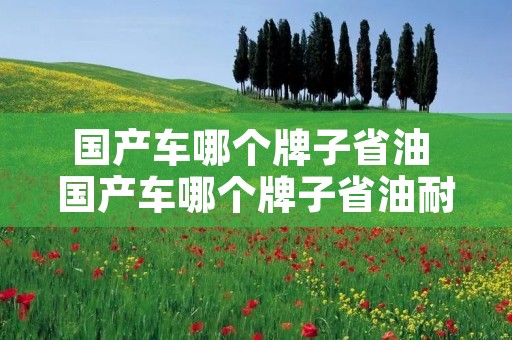 国产车哪个牌子省油 国产车哪个牌子省油耐用