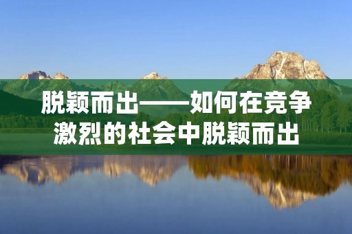 脱颖而出——如何在竞争激烈的社会中脱颖而出