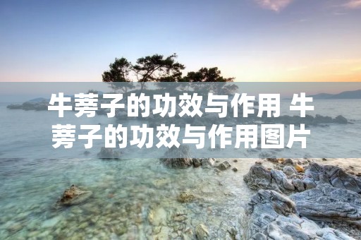 牛蒡子的功效与作用 牛蒡子的功效与作用图片