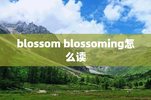 blossom blossoming怎么读