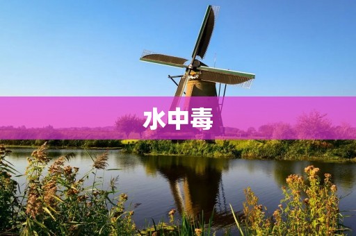 水中毒：危害与防范