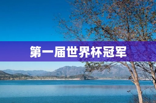 第一届世界杯冠军:足球的历史性里程碑 第一届世界杯冠军:足球的历史性里程碑