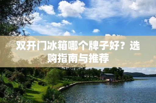 **门冰箱哪个牌子好？选购指南与推荐