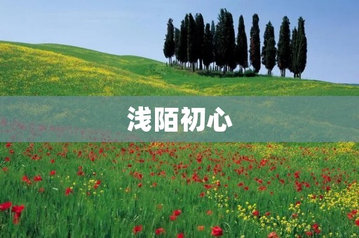 浅陌初心:探寻内心深处的初衷