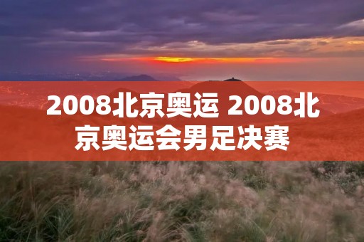 2008北京奥运 2008北京奥运会男足决赛