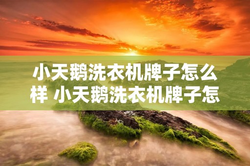 小天鹅洗衣机牌子怎么样 小天鹅洗衣机牌子怎么样啊
