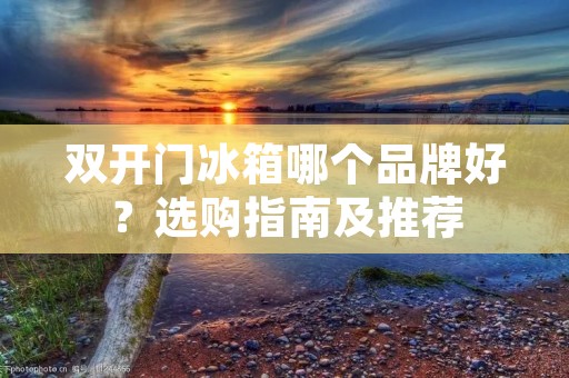 **门冰箱哪个品牌好？选购指南及推荐