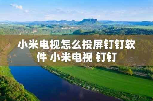 小米电视怎么投屏钉钉软件 小米电视 钉钉