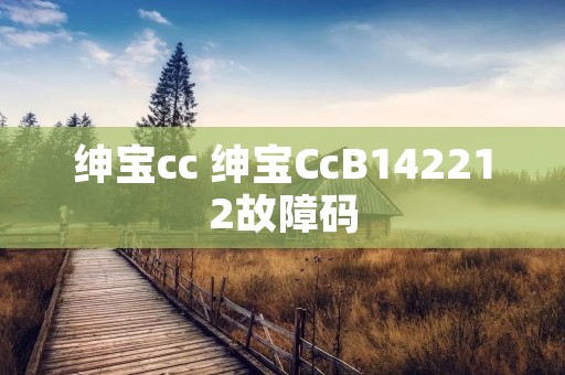 绅宝cc 绅宝CcB142212故障码
