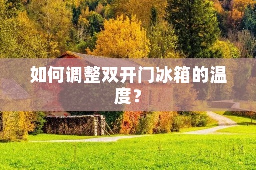 如何调整**门冰箱的温度？