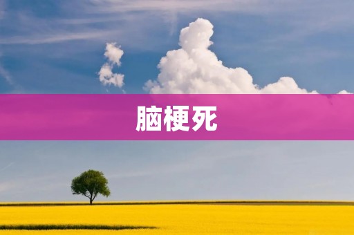 脑梗死：了解这一严重脑血管疾病的原因和治疗方法