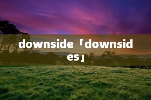 downside「downsides」