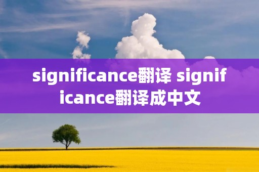 significance翻译 significance翻译成中文