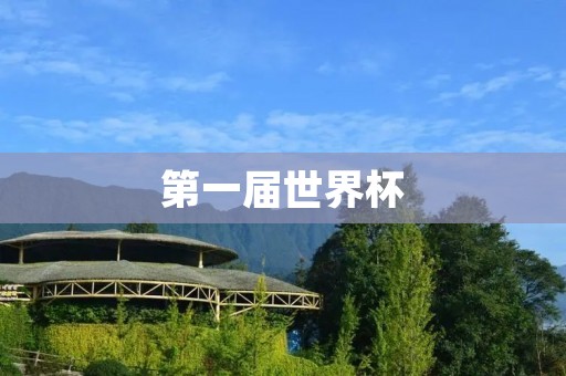 第一届世界杯：足球盛宴在乌拉圭的上演
