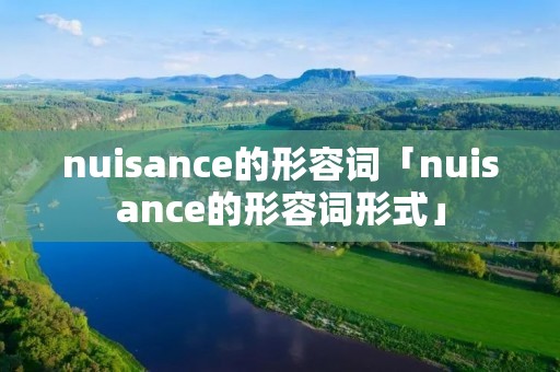nuisance的形容词「nuisance的形容词形式」