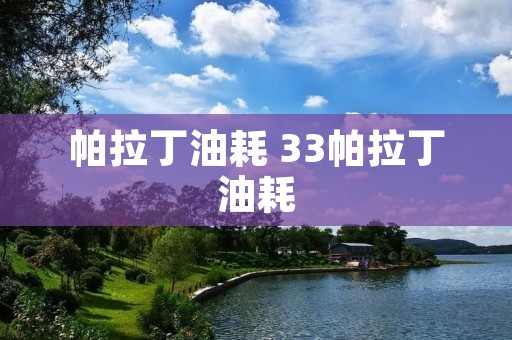 帕拉丁油耗 33帕拉丁油耗