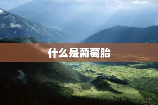 什么是葡萄胎
