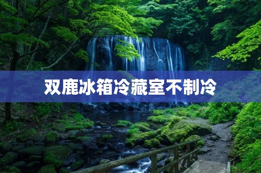 双鹿冰箱冷藏室不制冷：原因与解决办法