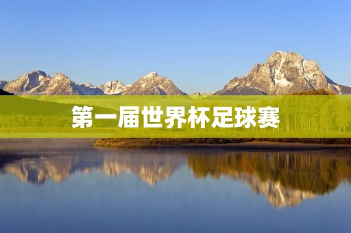 第一届世界杯足球赛:百年足球盛事的起点 第一届世界杯足球赛:百年足球盛事的起点