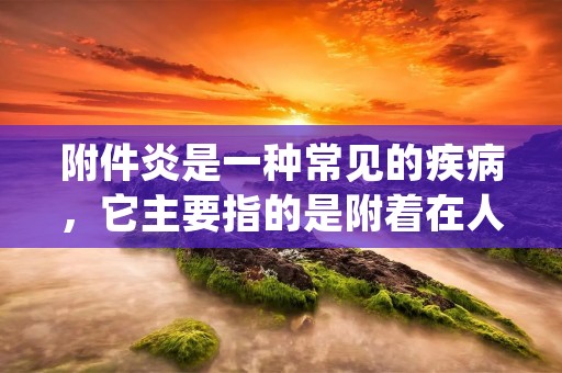附件炎是一种常见的疾病，它主要指的是附着在人体内脏器官上的附属组织发生炎症的情况。附件炎可以发生在多个器官上，包括肺、肝、肾、胃等。它的发病原因复杂多样，可能是由细菌、病毒、真菌等微生物感染引起的，也可能是由于机体免疫功能异常导致的自身免疫性炎症。