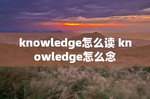 knowledge怎么读 knowledge怎么念