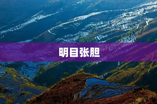 明目张胆：揭示现实中的无耻行为