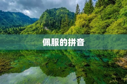 佩服的拼音：优雅之美