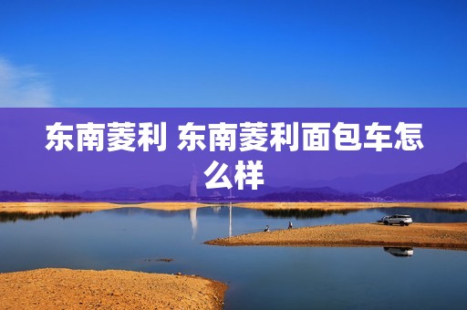 东南菱利 东南菱利面包车怎么样