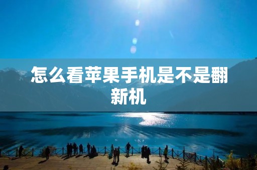 怎么看苹果手机是不是翻新机