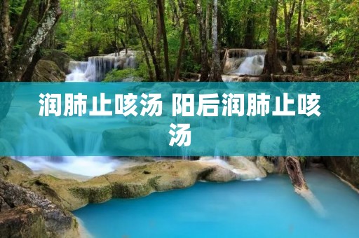 润肺止咳汤 阳后润肺止咳汤