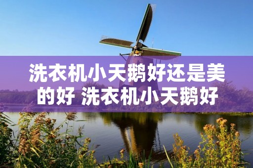 洗衣机小天鹅好还是美的好 洗衣机小天鹅好还是美的好用
