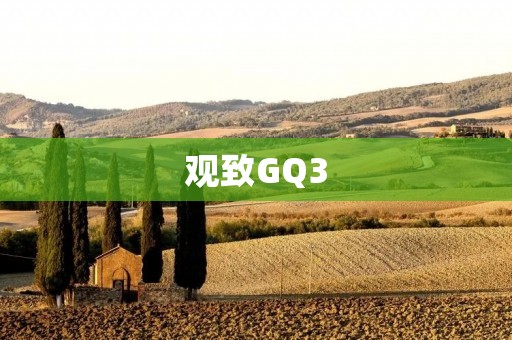 观致GQ3:豪华与**的完美结合 观致GQ3:豪华与**的完美结合