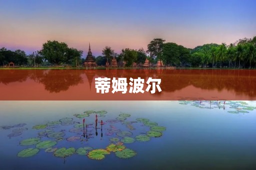 蒂姆波尔：电子商务巨头的崛起与挑战