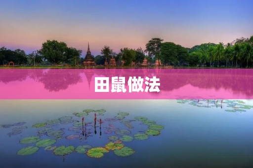 田鼠做法：传统美味的乡村佳肴