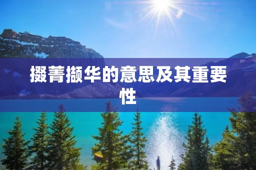 掇菁撷华的意思及其重要性