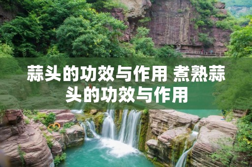 蒜头的功效与作用 煮熟蒜头的功效与作用
