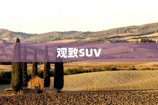 观致SUV:豪华与实用的完美结合 观致SUV:豪华与实用的完美结合