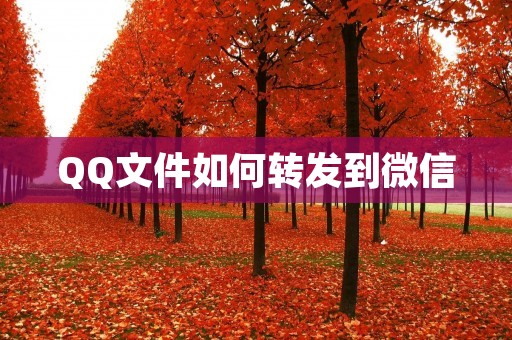 QQ文件如何转发到微信:操作详解