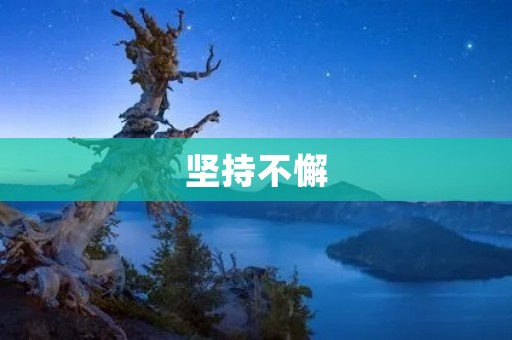 坚持不懈:追逐梦想的不竭动力